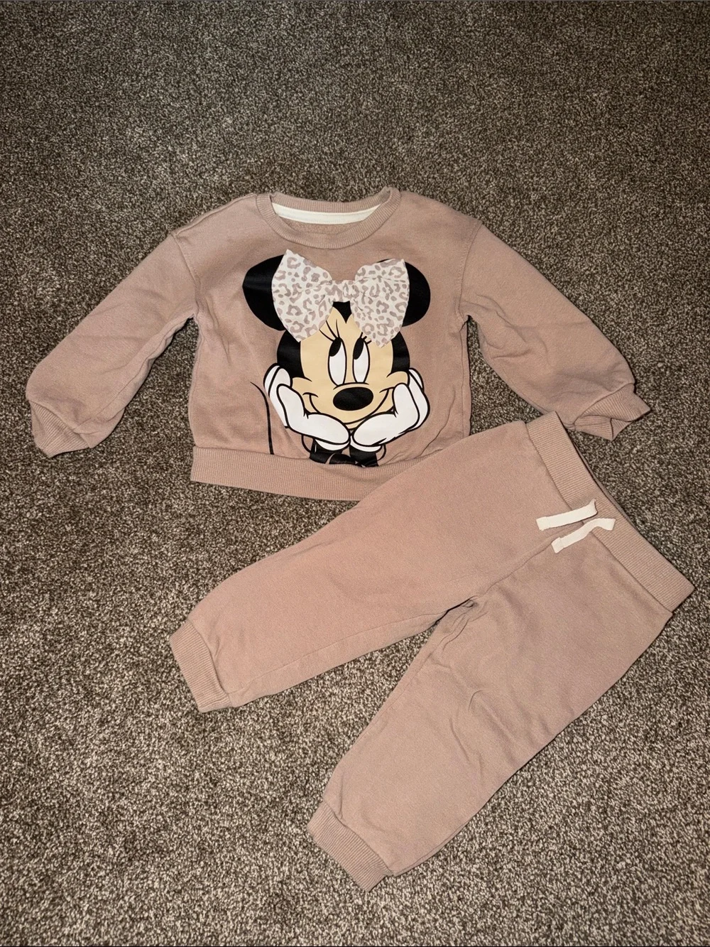 Minnie Mouse 24m Sweatshirt & Jogger Set